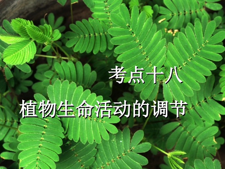 高三生物复习-植物生命活动的调节修改_第1页