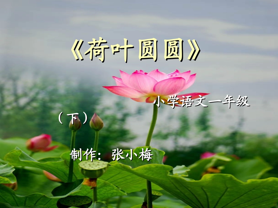 一年级语文下册《荷叶圆圆》第一课时课件_第1页