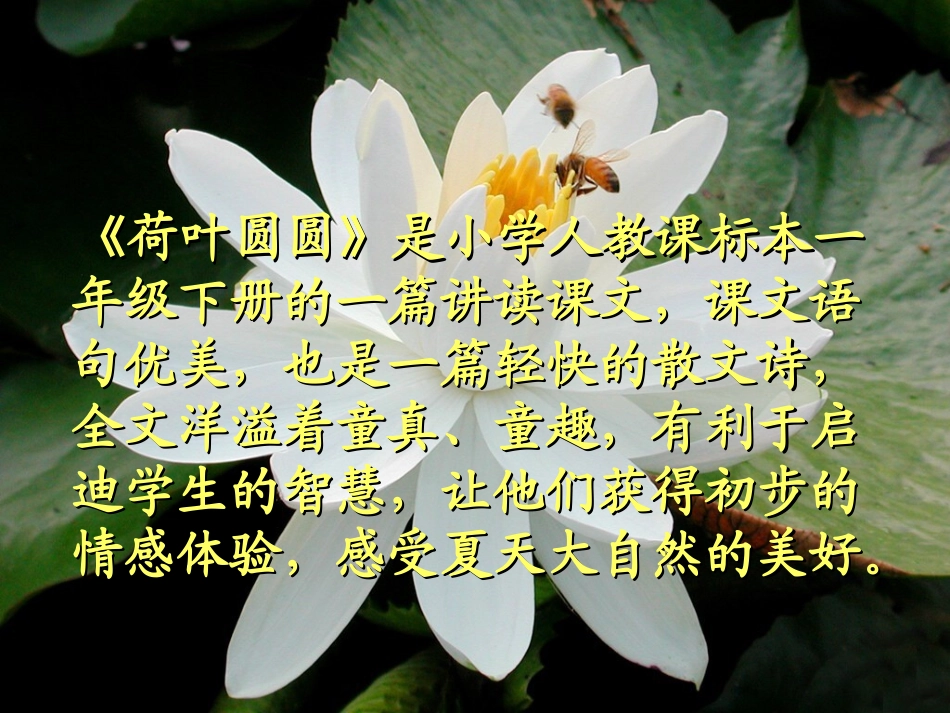 一年级语文下册《荷叶圆圆》第一课时课件_第2页