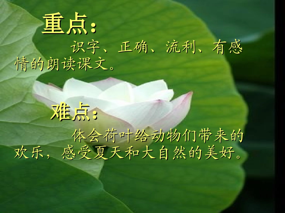 一年级语文下册《荷叶圆圆》第一课时课件_第3页