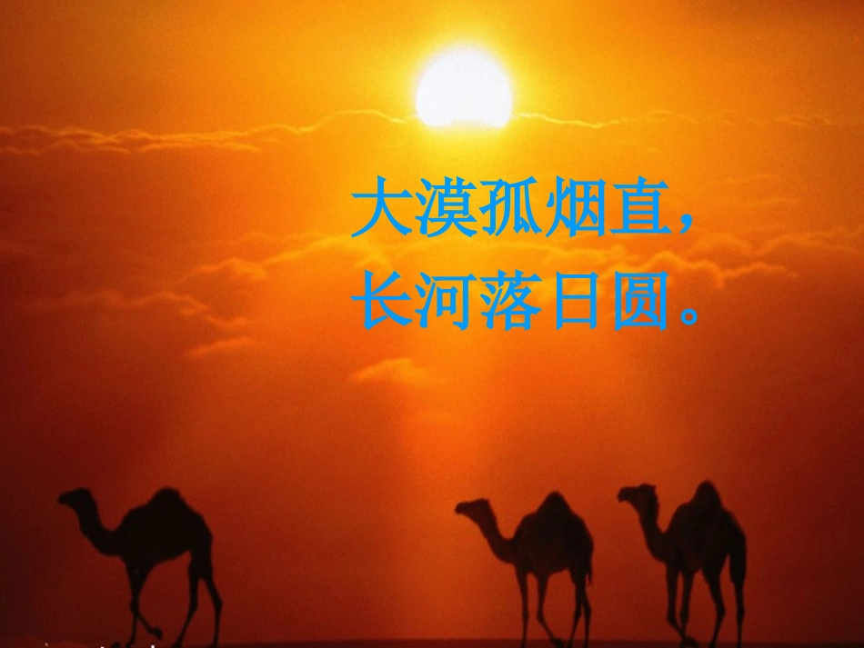 沙漠之舟定稿_第2页