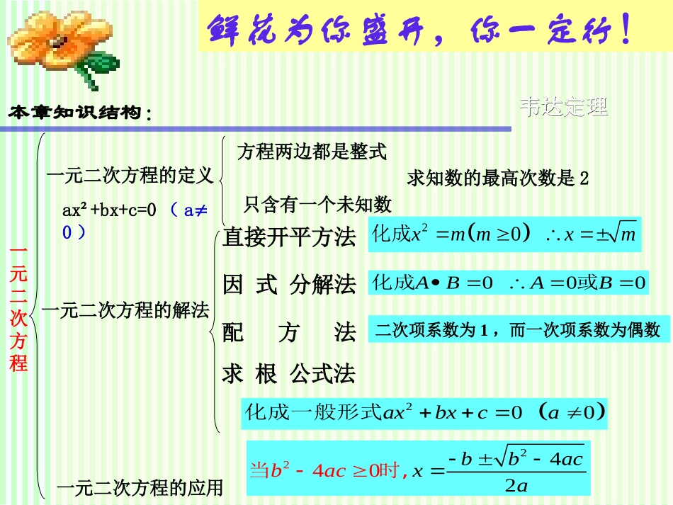 复习：一元二次方程课件_第2页