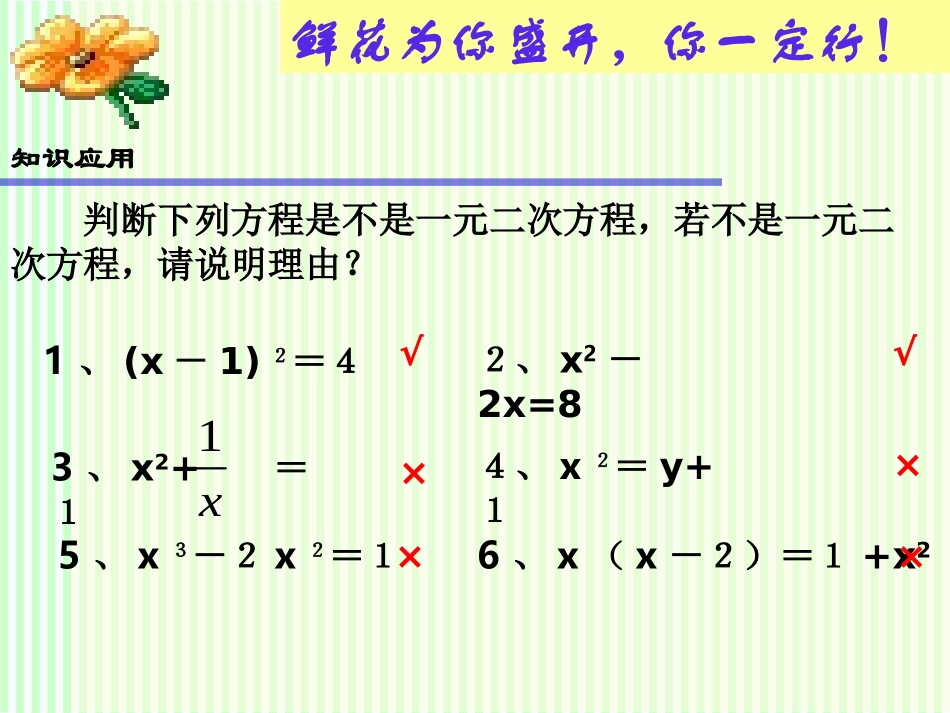 复习：一元二次方程课件_第3页