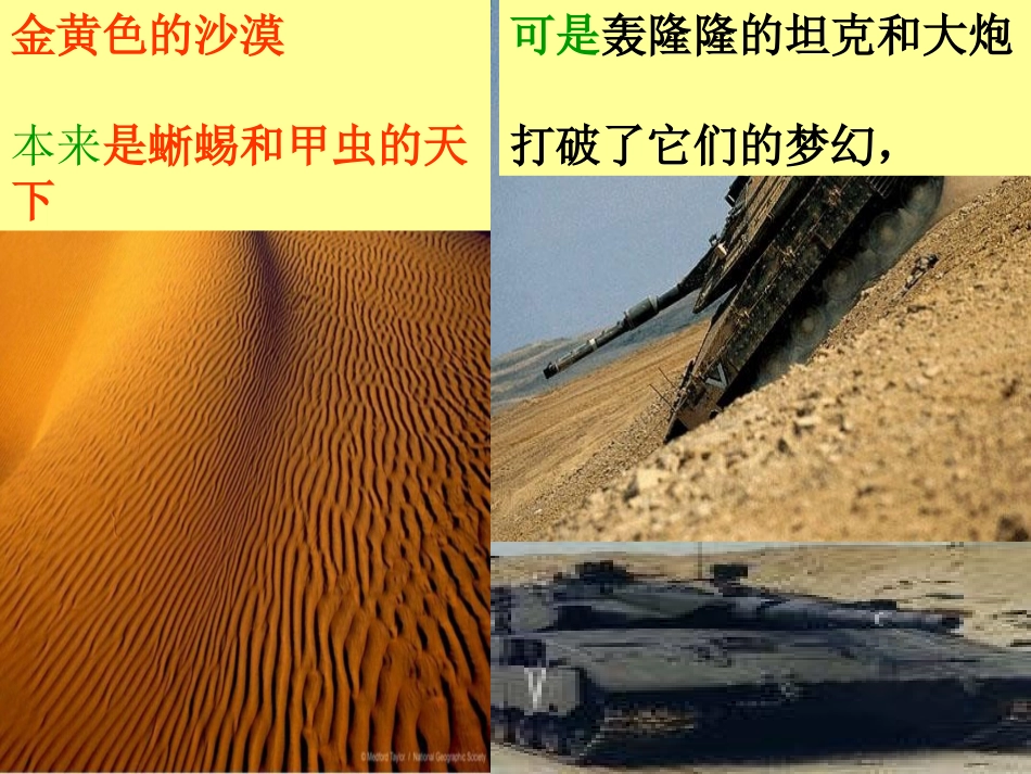 （中小学精品）和我们一样享受春天_第3页