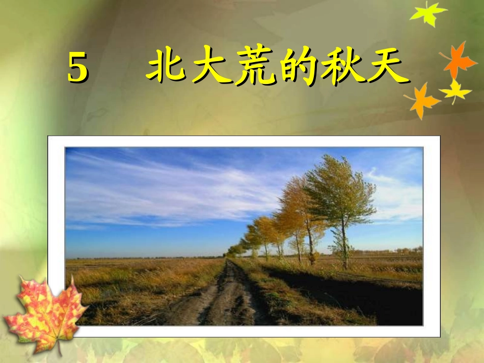 《北大荒的秋天》第二课时_第1页