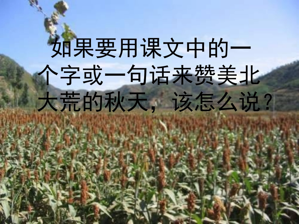 《北大荒的秋天》第二课时_第3页