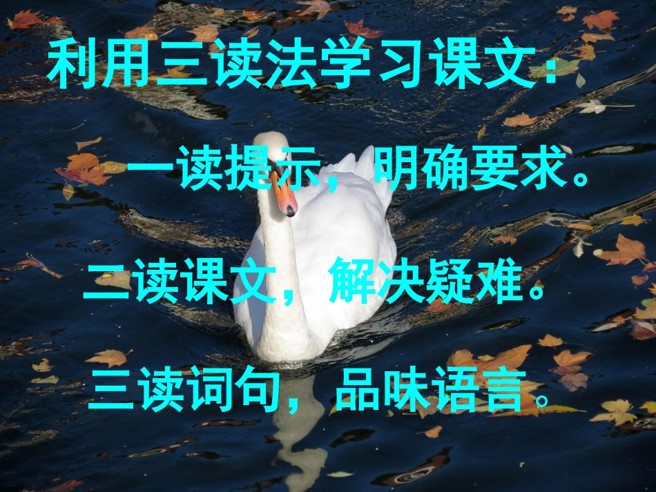 (中小学精品）听听，秋的声音PPT课件_第3页
