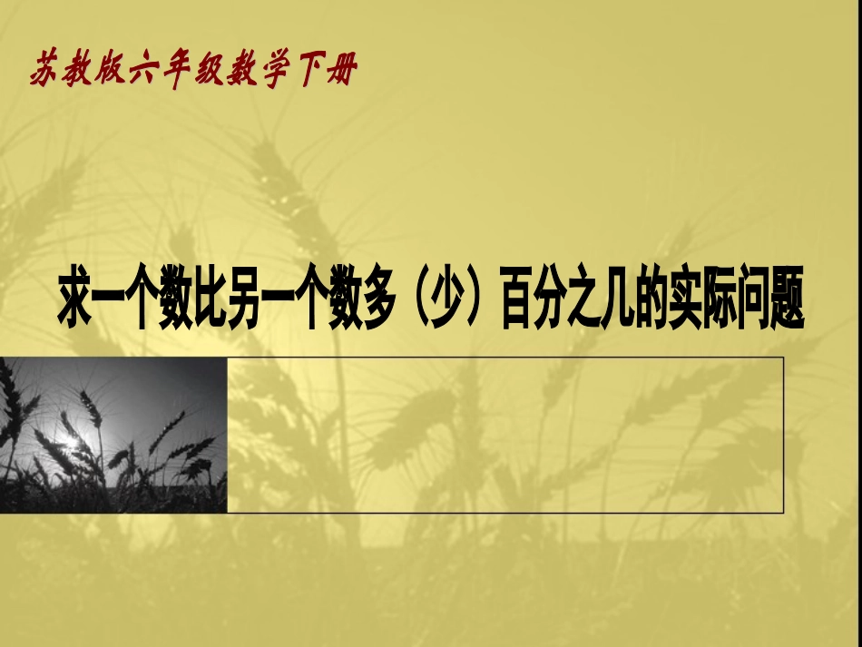 （苏教版）六年级数学下册课件求一个数比另一个数多（少）百分之几的实际问题_第1页