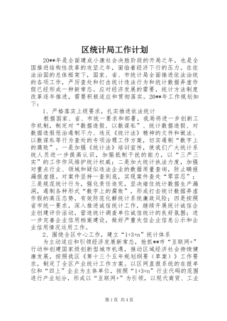 区统计局工作计划