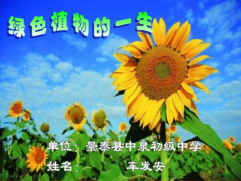(中小学精品）七年级生物植物种子的萌发_第1页