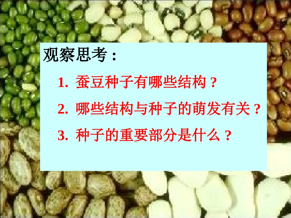 (中小学精品）七年级生物植物种子的萌发_第3页