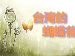 台湾的蝴蝶谷第二课时PPT