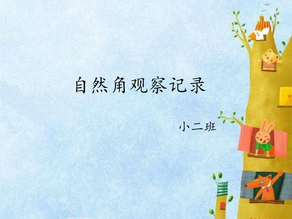 小二班植物角观察记录丁_第1页
