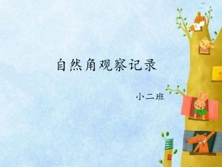 小二班植物角观察记录丁