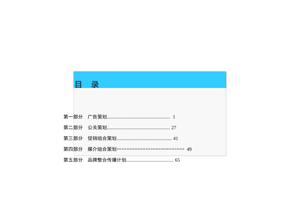 新导向-赛格车圣整合营销策划案2_第2页
