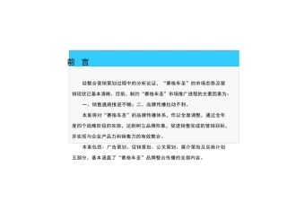 新导向-赛格车圣整合营销策划案2