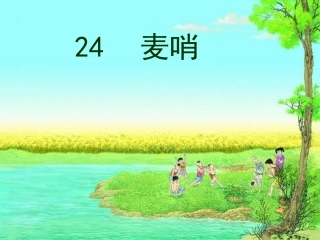 人教版四年级语文下册《麦哨》课件PPT