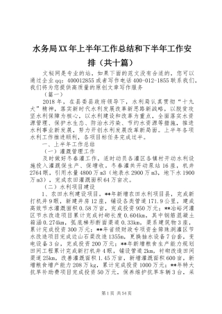 水务局XX年上半年工作总结和下半年工作安排（共十篇）