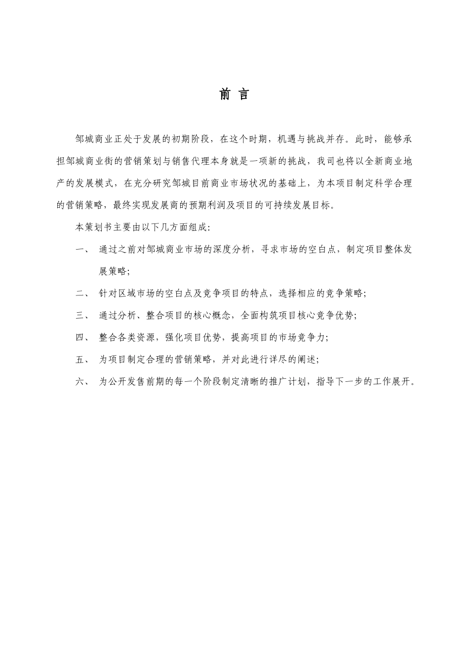邹城商业街整体营销推广方案1048214463_第2页