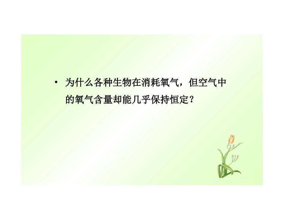 第二节性质活泼的氧气_第2页