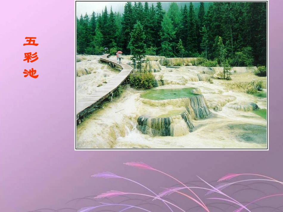 《五彩池》课件(语文S版四年级下册课件)_第3页