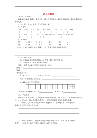 六年级语文上册老人与海鸥练习（无答案）人教新课标版