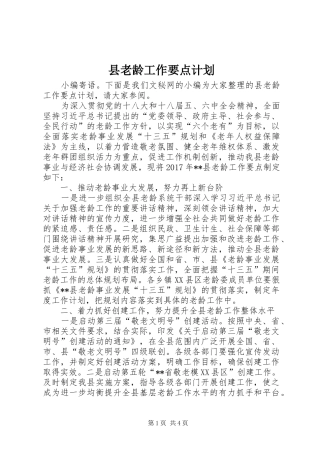 县老龄工作要点计划