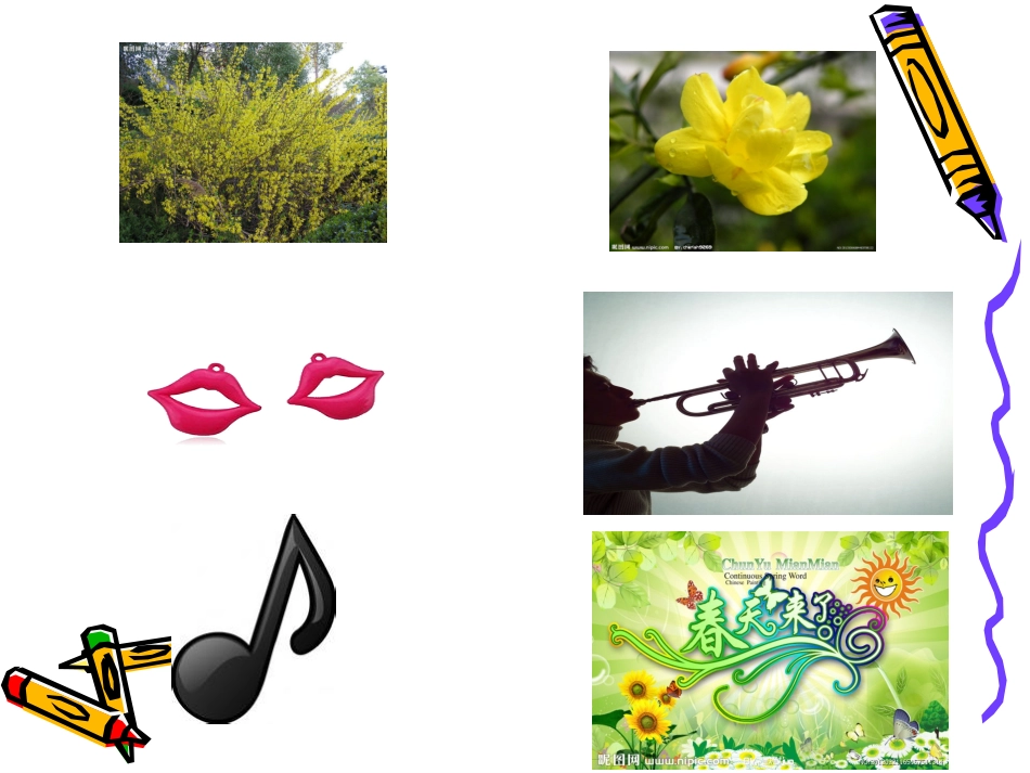 小班儿歌迎春花_第3页