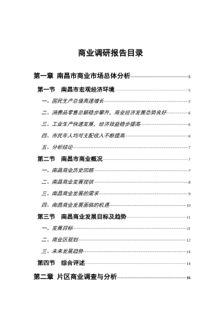 南昌大市场商业调研报告