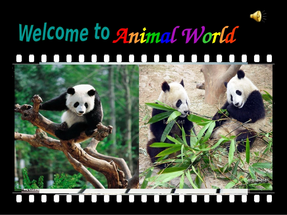 第一课时上课课件_第1页