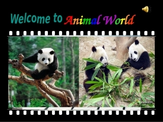 第一课时上课课件