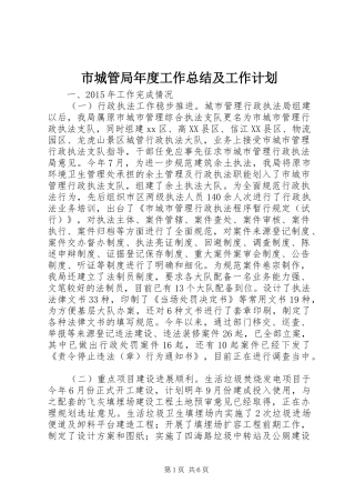 市城管局年度工作总结及工作计划