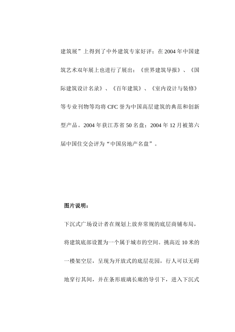 长发CFC营销推广_第3页