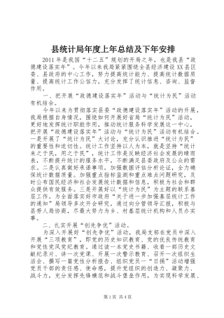 县统计局年度上年总结及下年安排