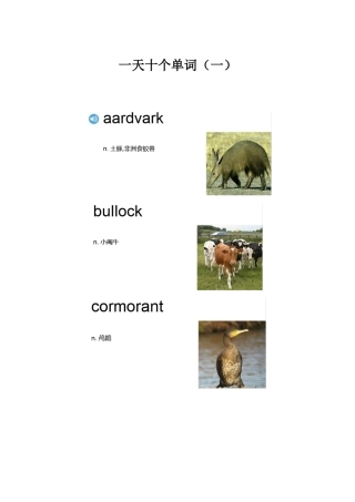 一天十个单词（一）