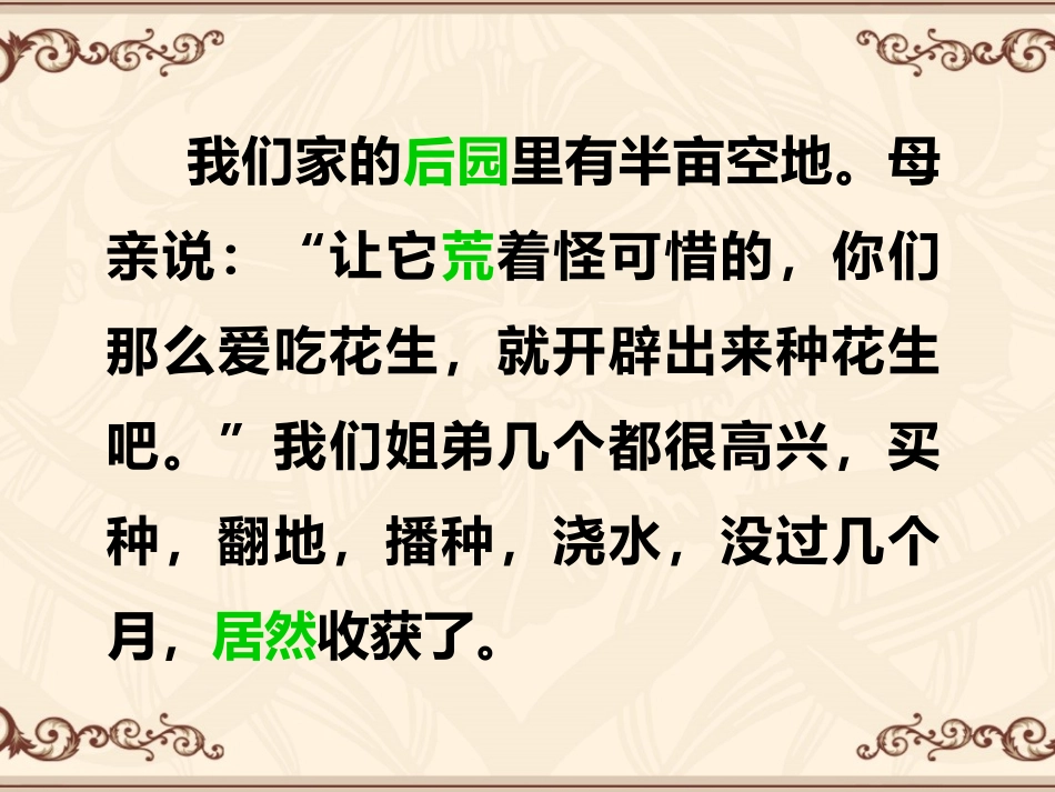 王大燕落花生课件_第3页