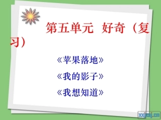 第六单元复习+-+副本