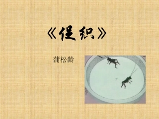 促织_上课实用版