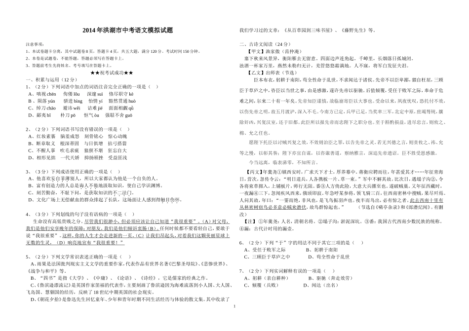 九年级语文中考摸拟试题_第1页