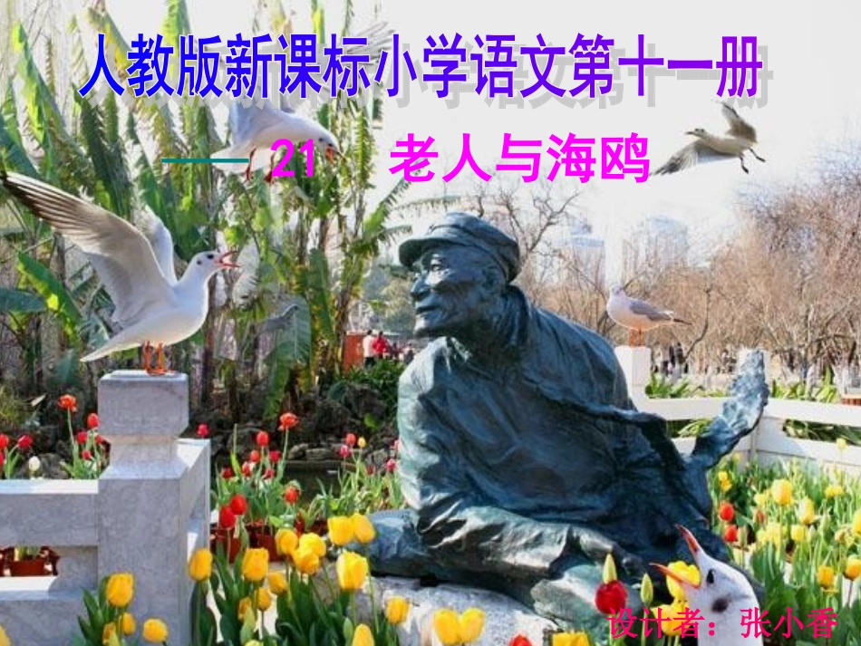 小学语文第十一册《老人与海鸥》教学课件_第1页