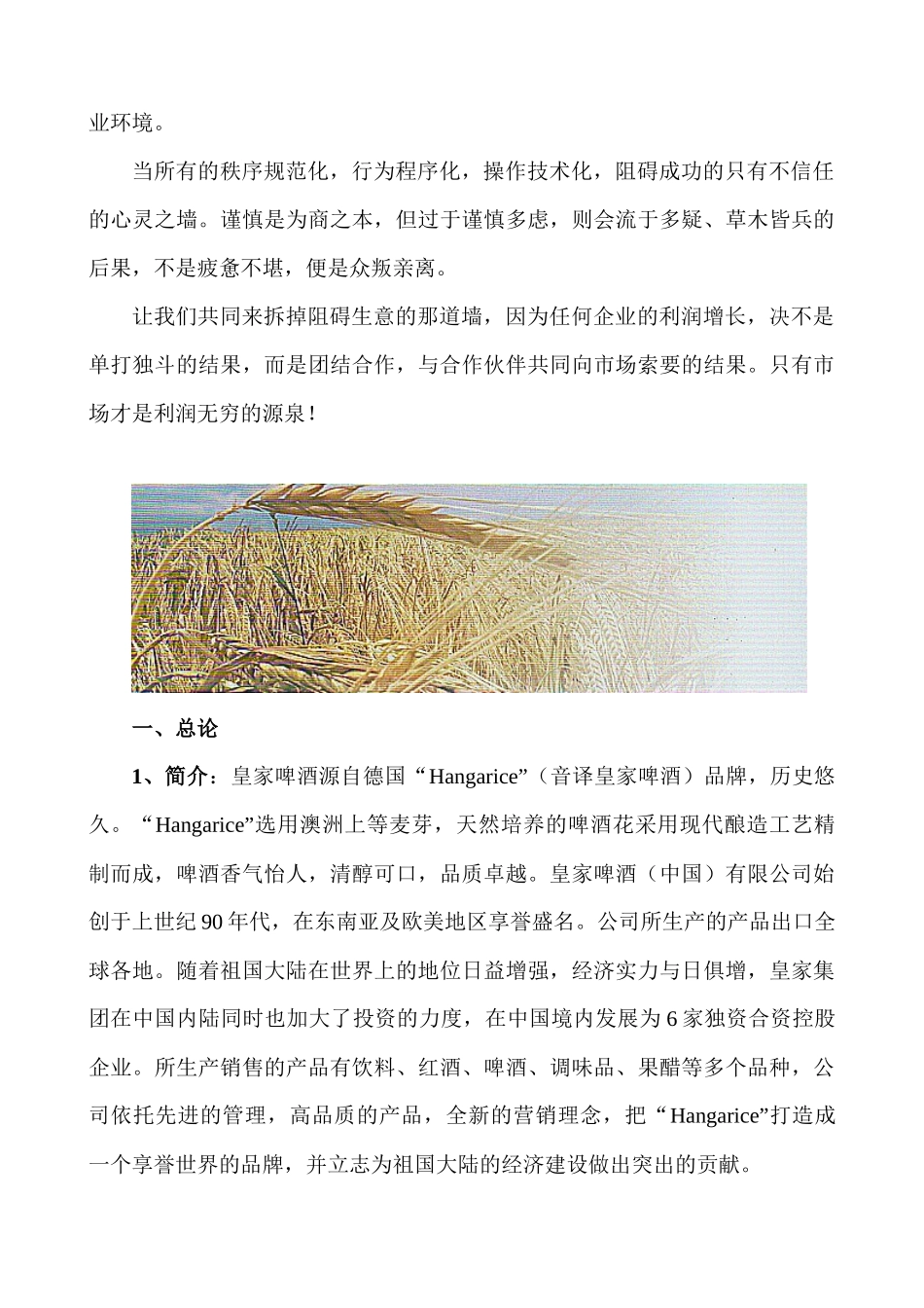 啤酒市场营销策划书_第2页