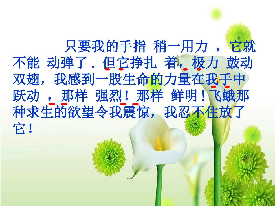 （中小学精品）《生命生命》课件_第3页