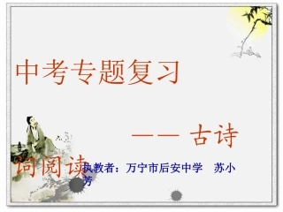 古诗词阅读复习苏小芳