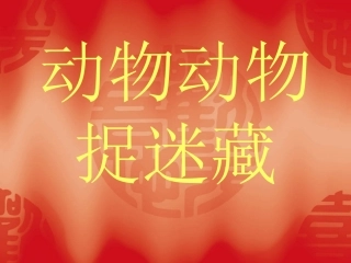 动物动物捉迷藏