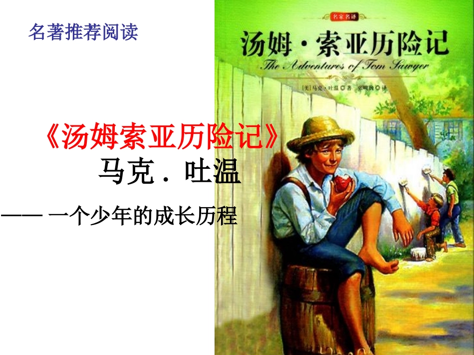 汤姆索亚历险记_第3页