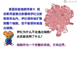 复件曾都一高一细胞膜生物课件