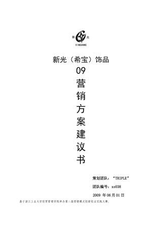 新光09营销策划
