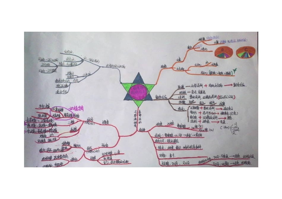 细胞的组成思维导图_第1页