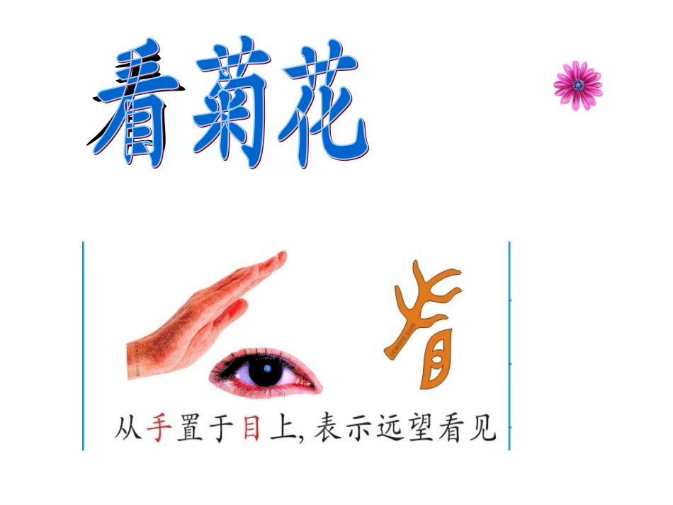 苏教版一年级语文《看菊花》课件_第3页