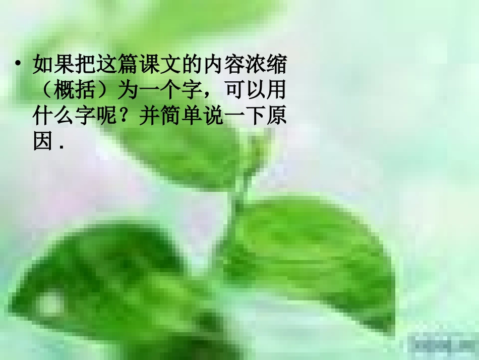 人教版七年级上《散步》[原创]课件_第3页